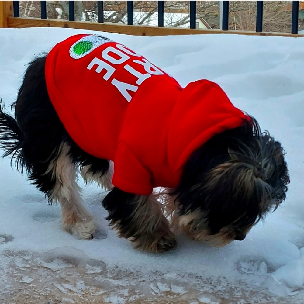 Changeable sequin Dog hoodie
